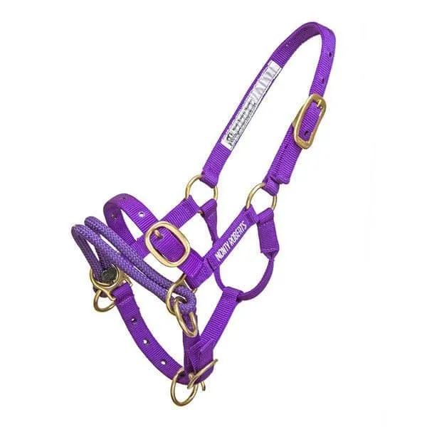 Dually Halter Mini Purple